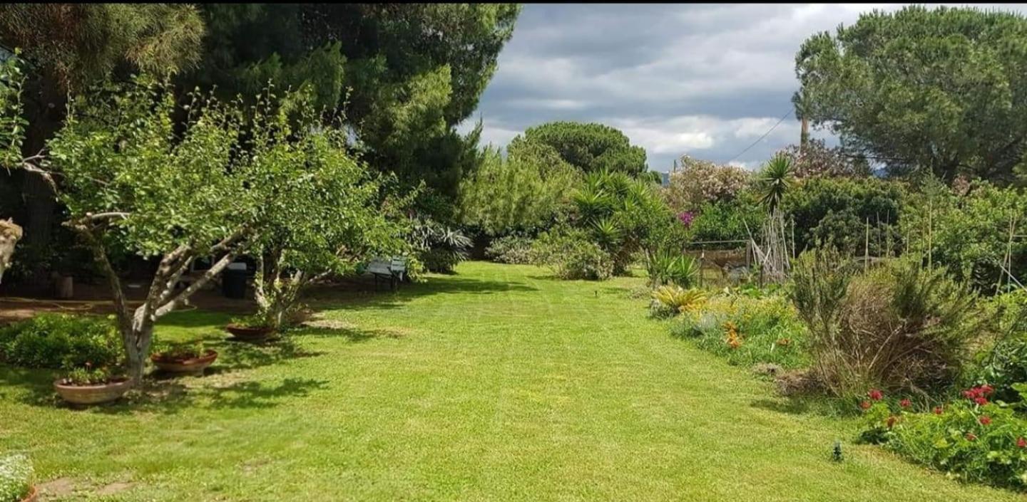 Appartement Il Giardino Di Frafa à Quartu SantʼElena Extérieur photo