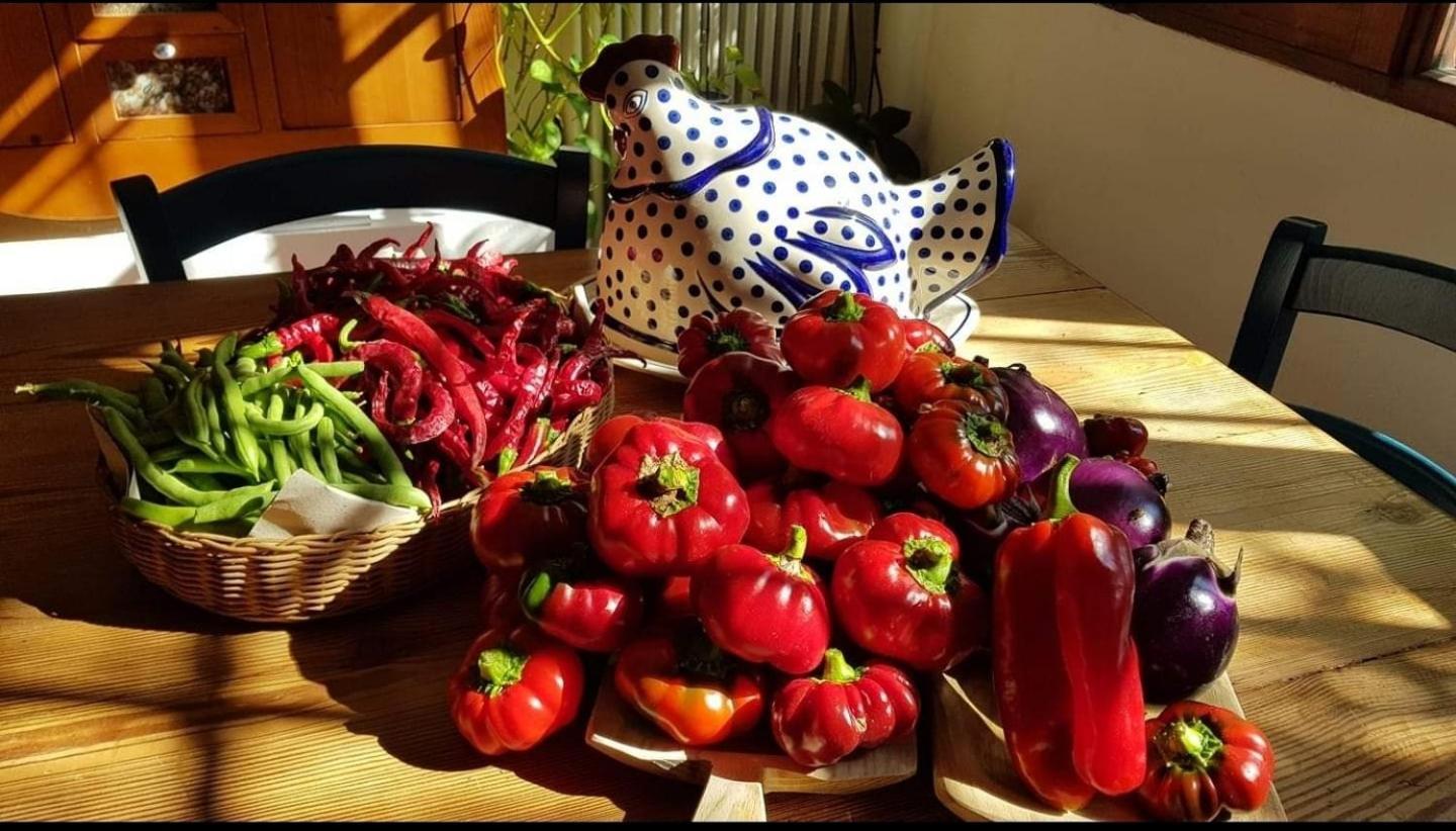 Appartement Il Giardino Di Frafa à Quartu SantʼElena Extérieur photo