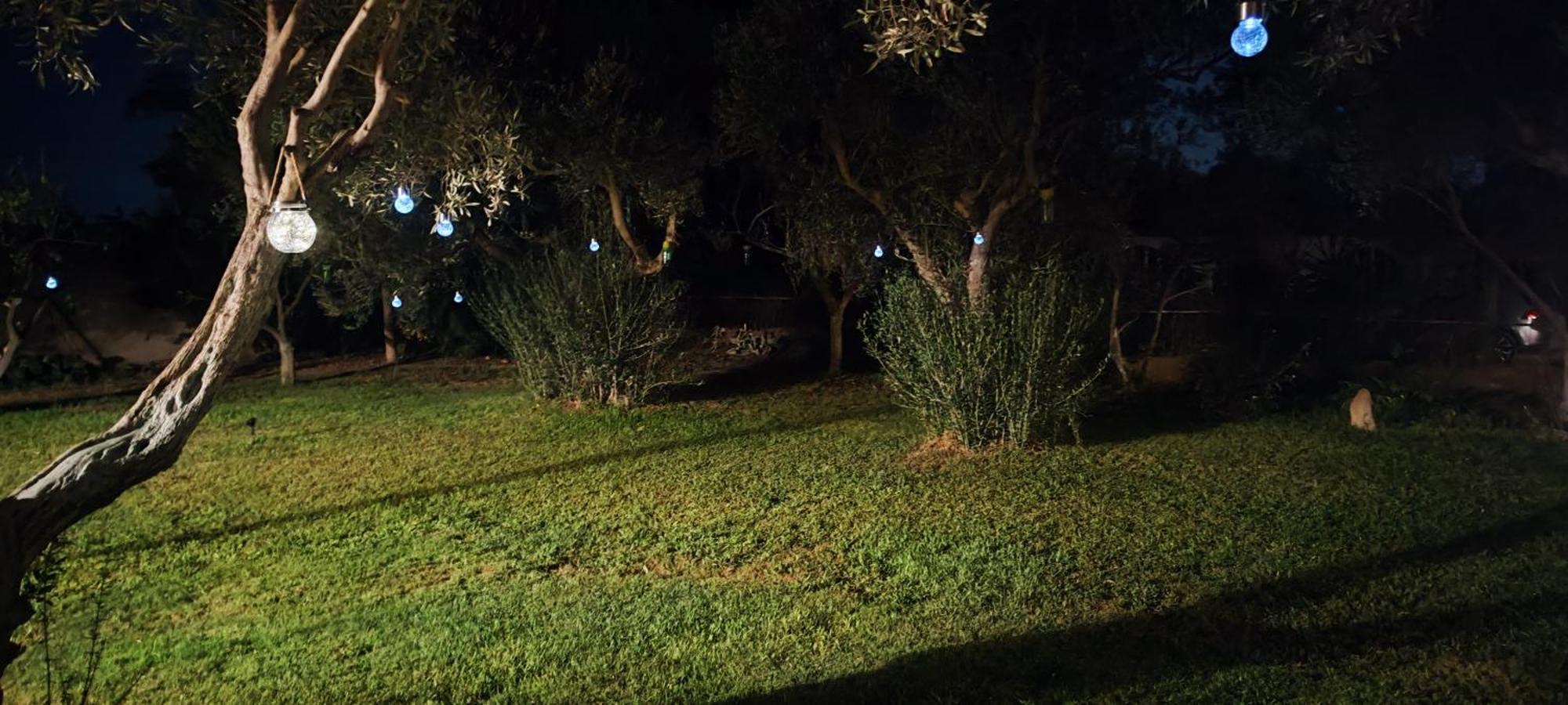 Appartement Il Giardino Di Frafa à Quartu SantʼElena Extérieur photo